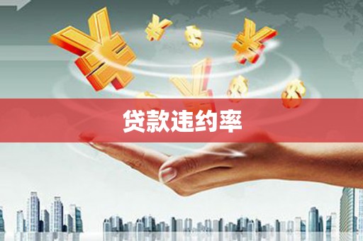 岐山贷款违约率