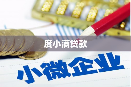 岐山度小满贷款