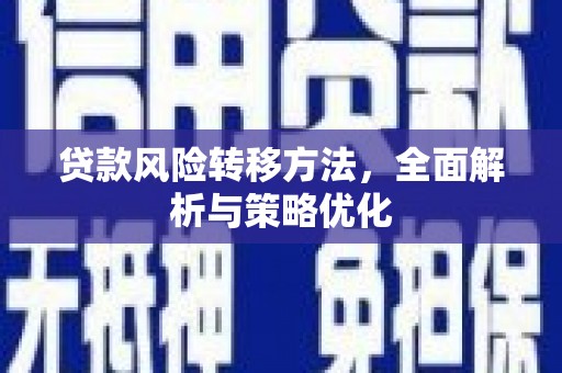 岐山贷款风险转移方法，全面解析与策略优化