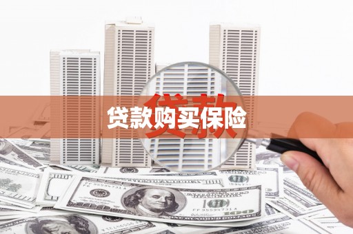 岐山贷款购买保险
