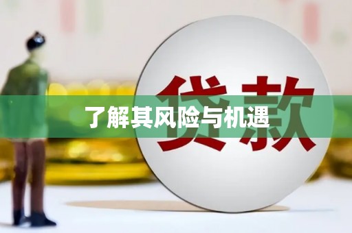 岐山了解其风险与机遇