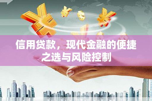 岐山信用贷款，现代金融的便捷之选与风险控制
