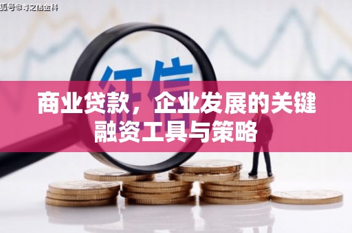 岐山商业贷款，企业发展的关键融资工具与策略