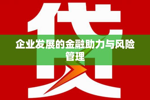 岐山企业发展的金融助力与风险管理
