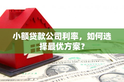 岐山小额贷款公司利率，如何选择最优方案？
