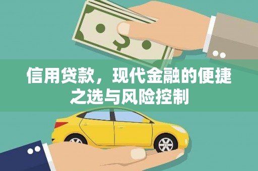 岐山信用贷款，现代金融的便捷之选与风险控制