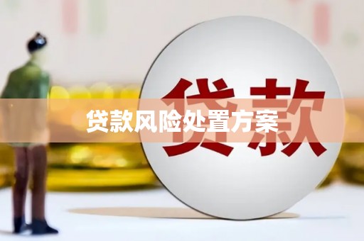 岐山贷款风险处置方案
