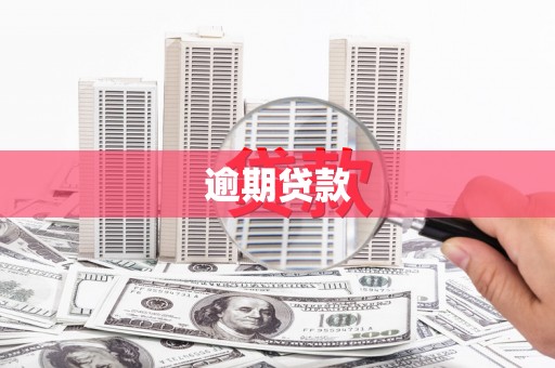 岐山逾期贷款