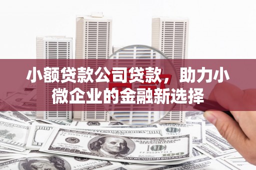 岐山小额贷款公司贷款，助力小微企业的金融新选择