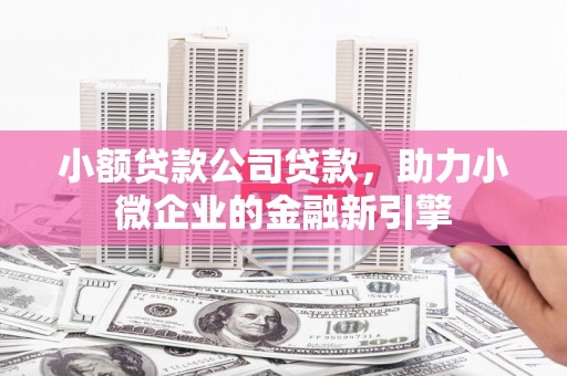 岐山小额贷款公司贷款，助力小微企业的金融新引擎