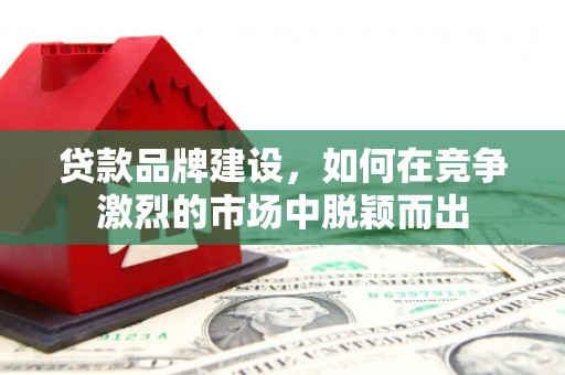 岐山贷款品牌建设，如何在竞争激烈的市场中脱颖而出