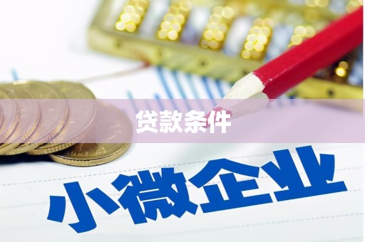 岐山贷款条件