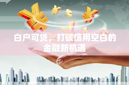 岐山白户可贷，打破信用空白的金融新机遇