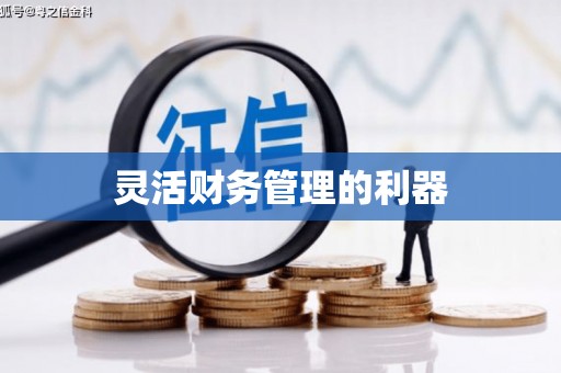 岐山灵活财务管理的利器