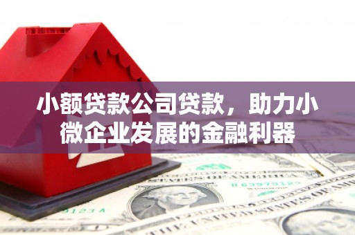 岐山小额贷款公司贷款，助力小微企业发展的金融利器