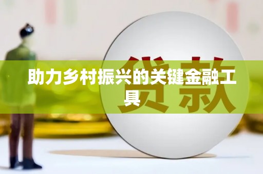 岐山助力乡村振兴的关键金融工具
