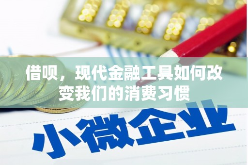 岐山借呗，现代金融工具如何改变我们的消费习惯