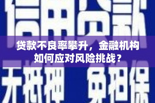 岐山贷款不良率攀升，金融机构如何应对风险挑战？