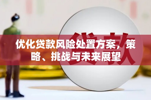 岐山优化贷款风险处置方案，策略、挑战与未来展望