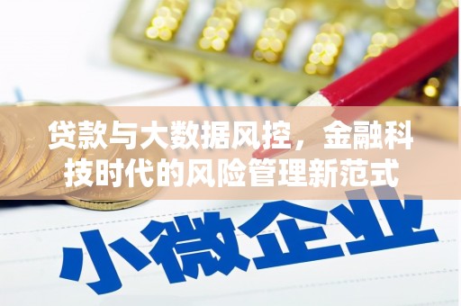 岐山贷款与大数据风控，金融科技时代的风险管理新范式