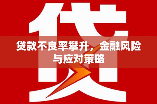 岐山贷款不良率攀升，金融风险与应对策略