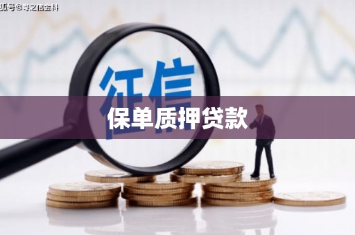 岐山保单质押贷款