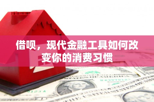 岐山借呗，现代金融工具如何改变你的消费习惯