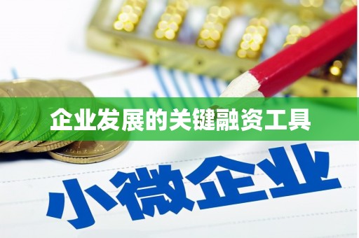 岐山企业发展的关键融资工具