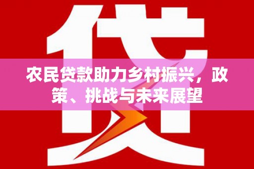 岐山农民贷款助力乡村振兴，政策、挑战与未来展望