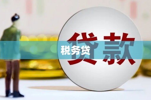 岐山税务贷