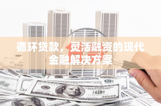 岐山循环贷款，灵活融资的现代金融解决方案