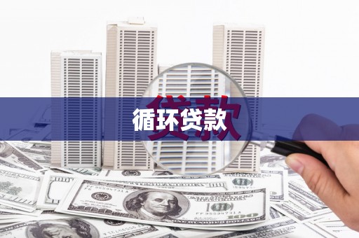 岐山循环贷款