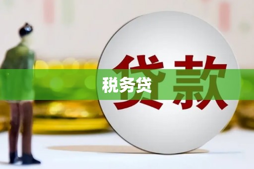 岐山税务贷