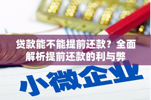 岐山贷款能不能提前还款？全面解析提前还款的利与弊