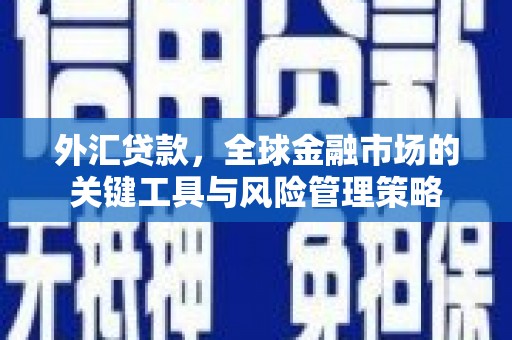 岐山外汇贷款，全球金融市场的关键工具与风险管理策略