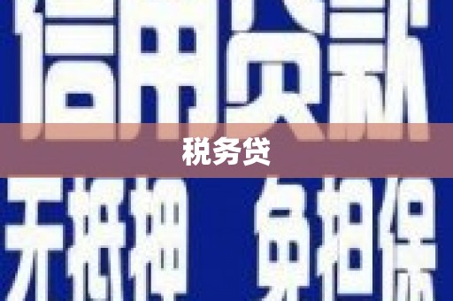 岐山税务贷