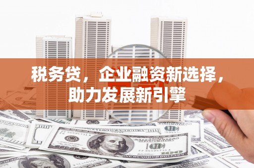 岐山税务贷，企业融资新选择，助力发展新引擎