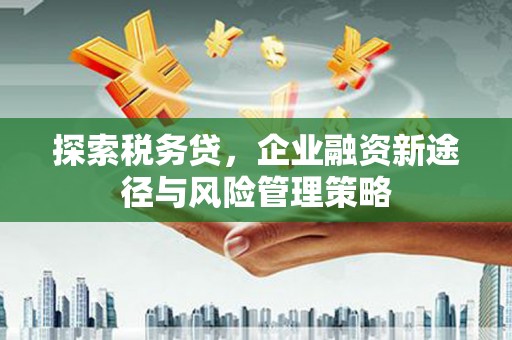 岐山探索税务贷，企业融资新途径与风险管理策略