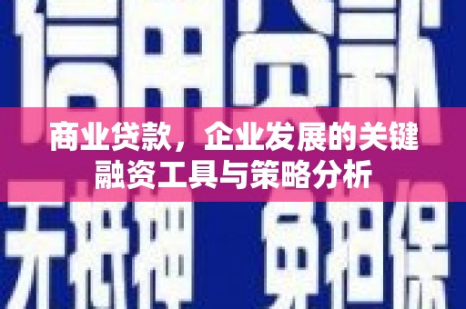 岐山商业贷款，企业发展的关键融资工具与策略分析