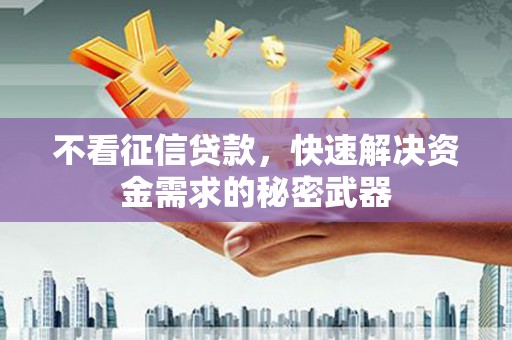 岐山不看征信贷款，快速解决资金需求的秘密武器