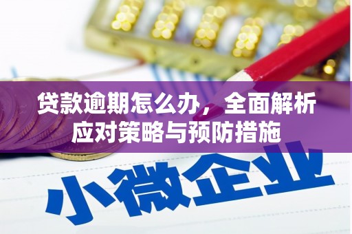 岐山贷款逾期怎么办，全面解析应对策略与预防措施