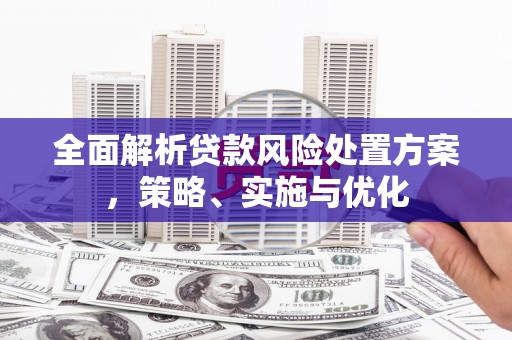 岐山全面解析贷款风险处置方案，策略、实施与优化