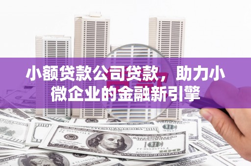 岐山小额贷款公司贷款，助力小微企业的金融新引擎