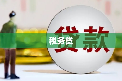 岐山税务贷