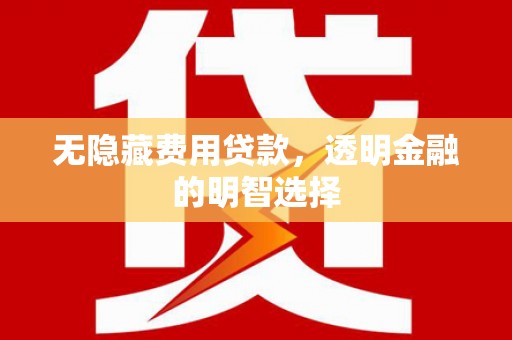 岐山无隐藏费用贷款，透明金融的明智选择