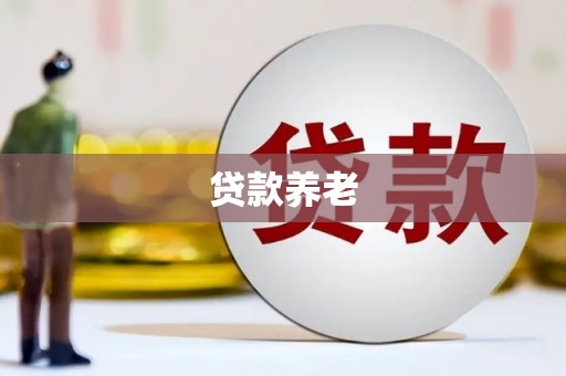 岐山贷款养老