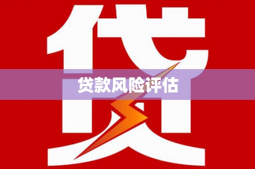 岐山贷款风险评估