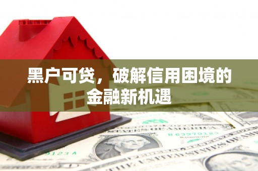 岐山黑户可贷，破解信用困境的金融新机遇