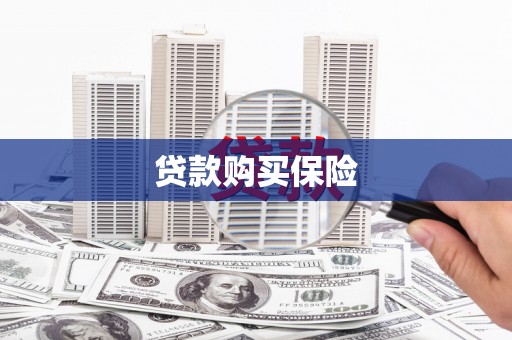 岐山贷款购买保险