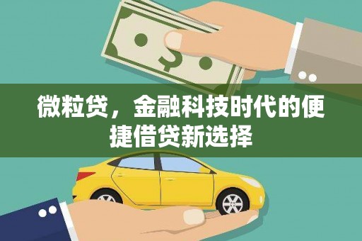 岐山微粒贷，金融科技时代的便捷借贷新选择